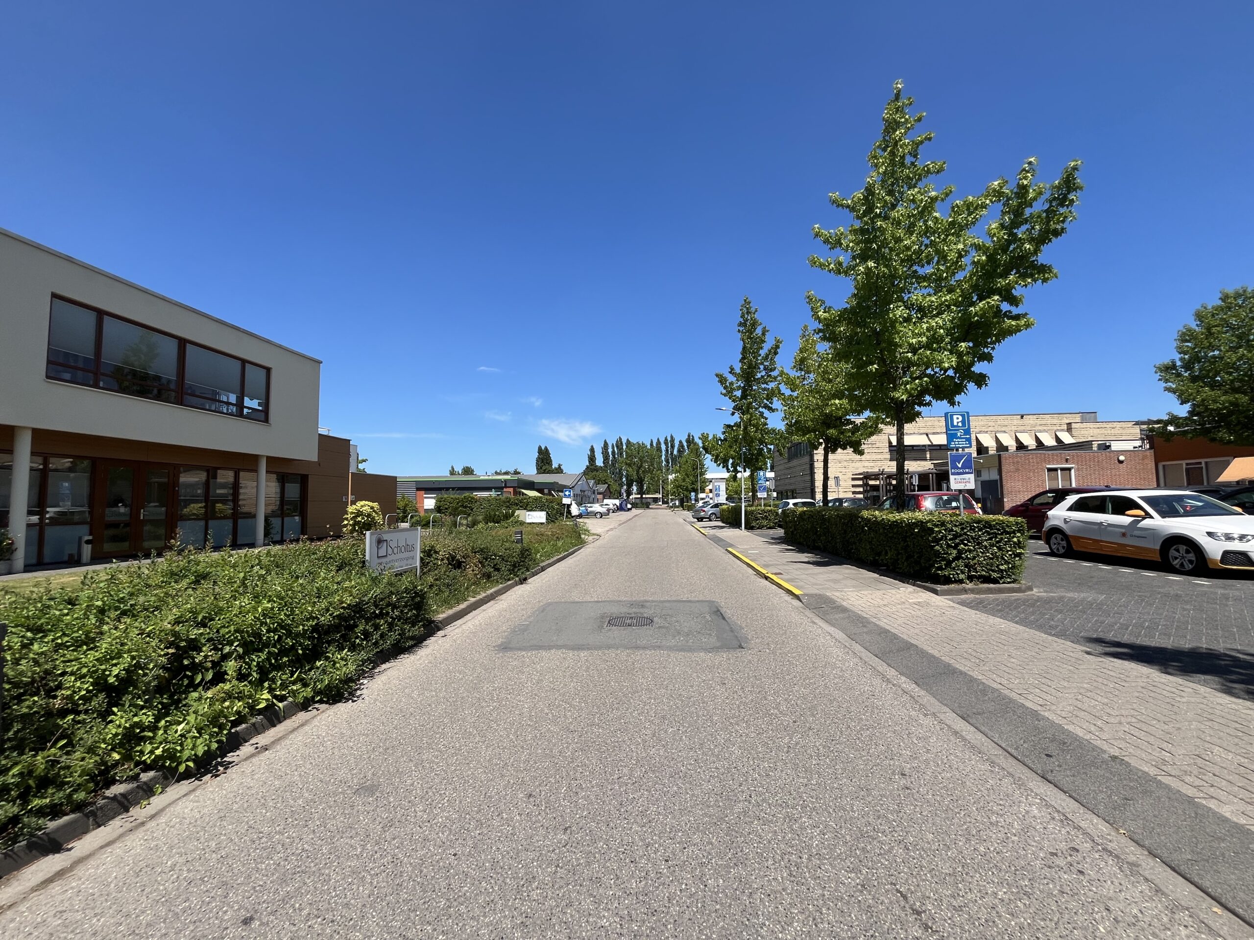 Dodewaardlaan Tiel